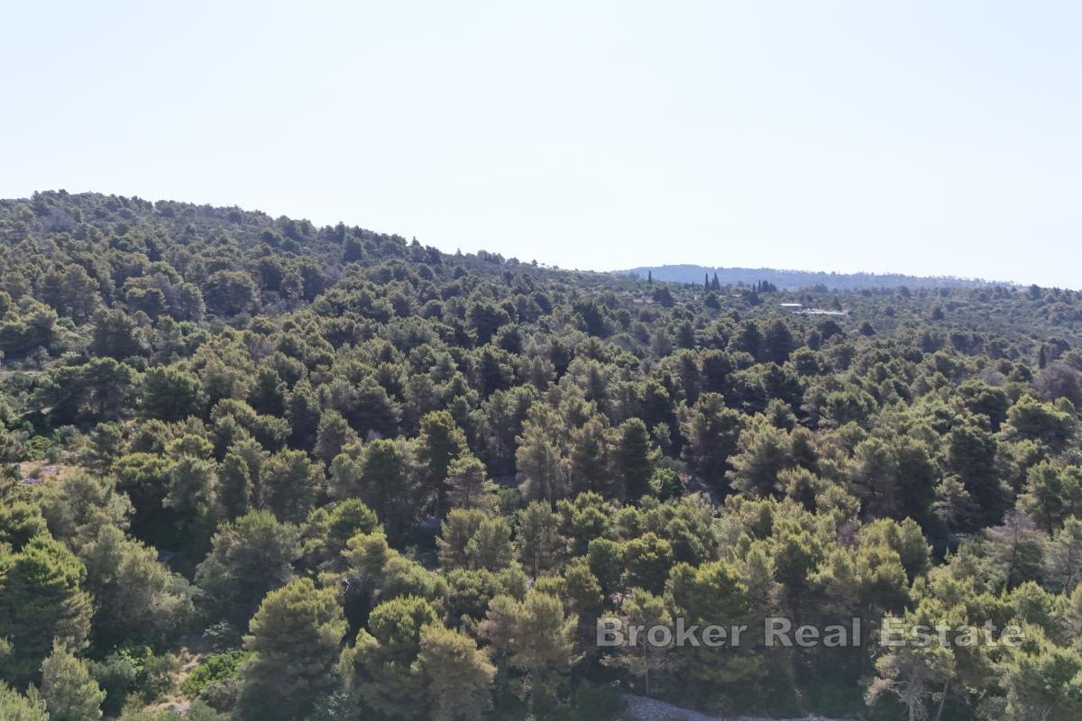 Terreno con vista mare