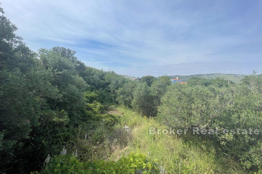 Building land near the sea