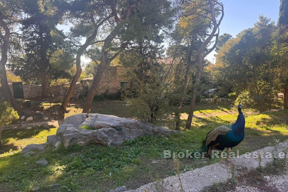 Rymlig lägenhet för renovering