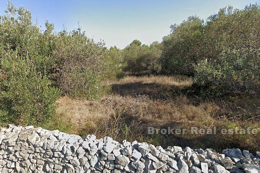 Spacious building plot