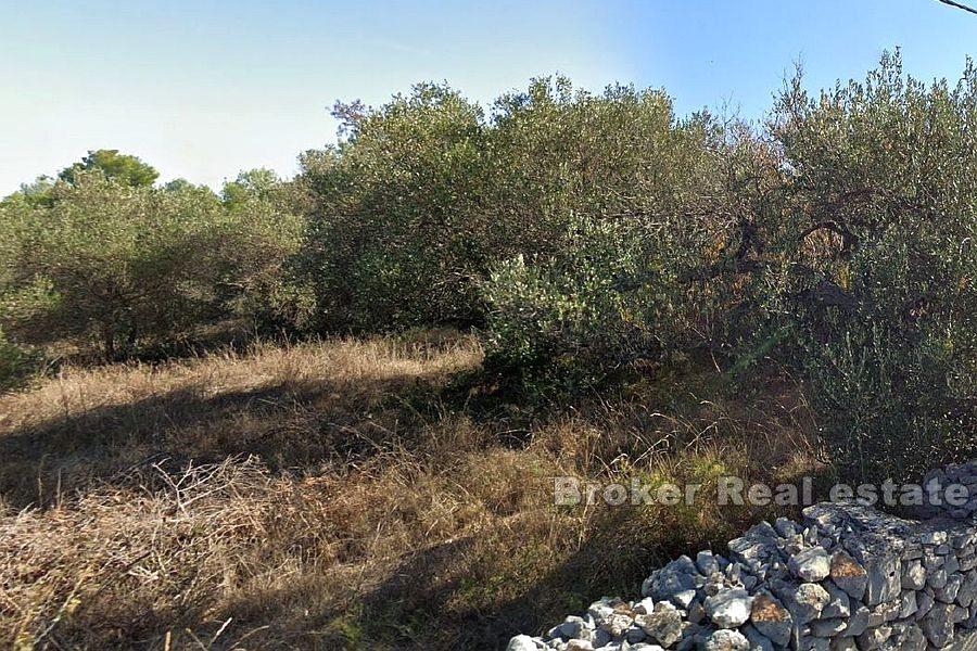 Spacious building plot