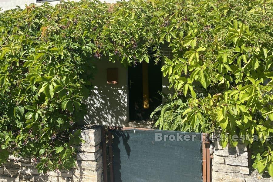 Dům v centru města