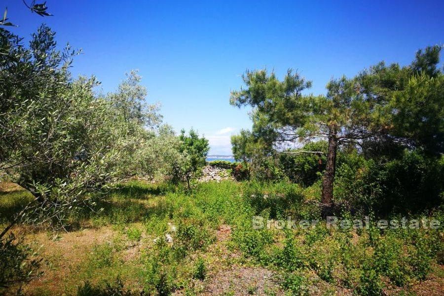 Building land first row to the sea