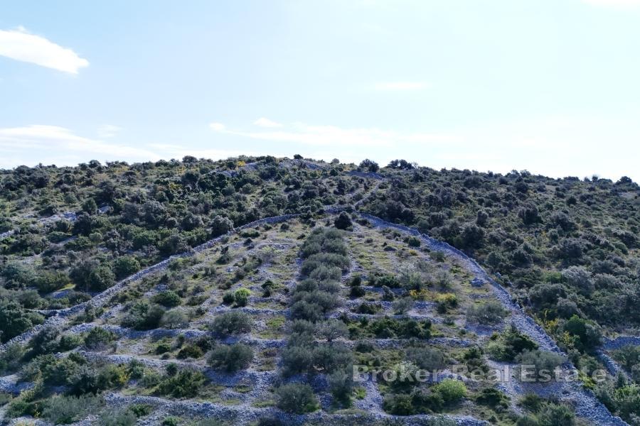 Grand terrain à bâtir avec vue dégagée sur la mer