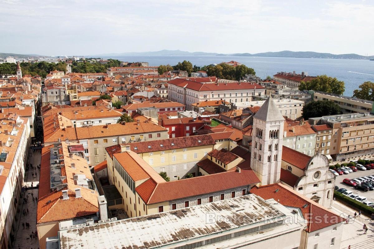 Mieszkanie w centrum miasta