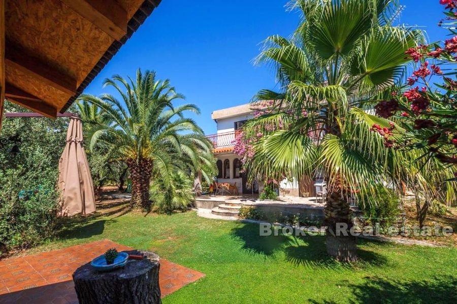 House with a spacious garden