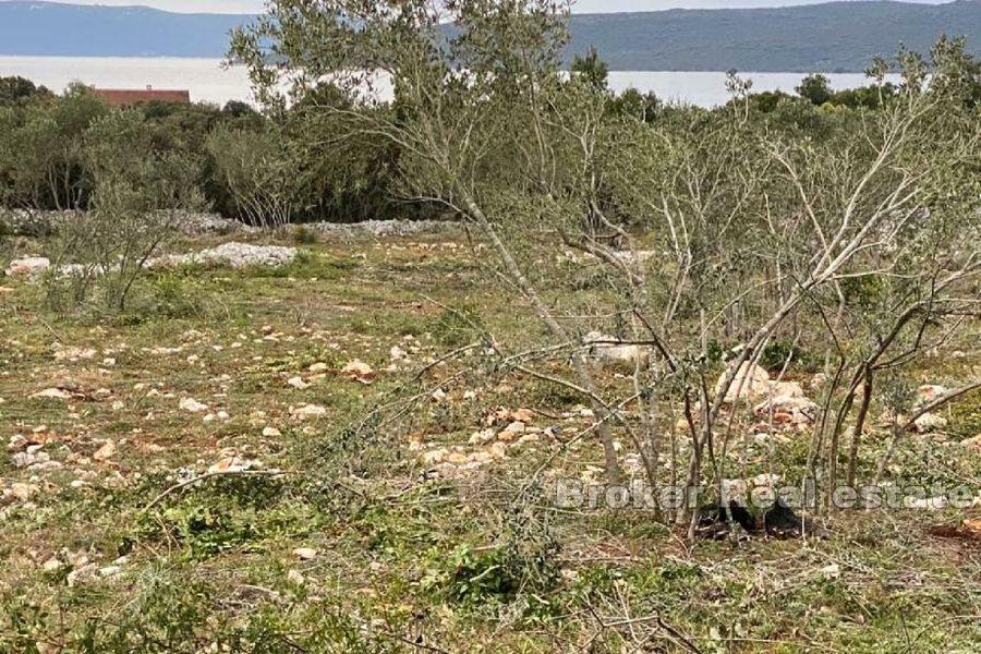 Terrain constructible avec vue mer