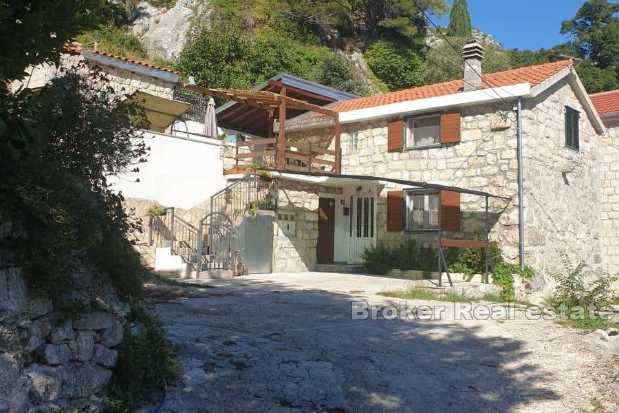 House with an open view