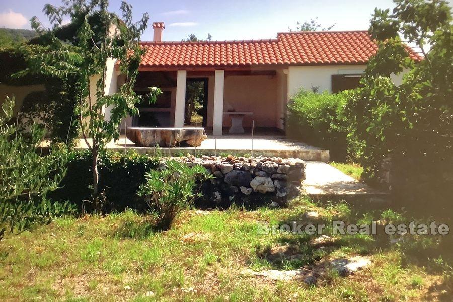 A large olive grove with a holiday house