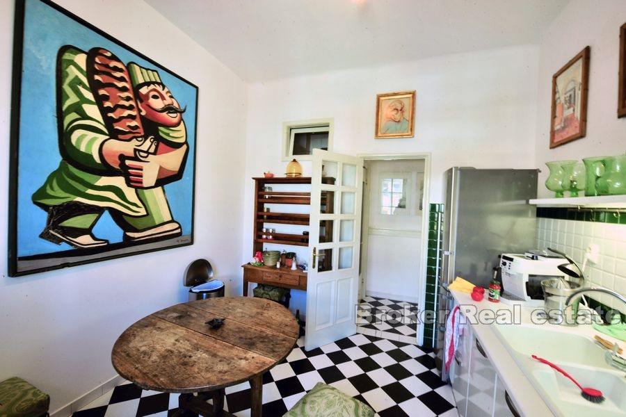 Apartment in the city center