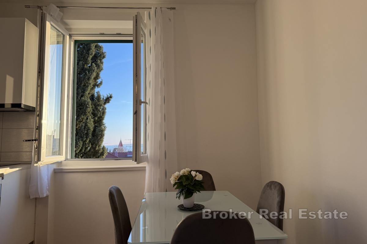 Apartmán s jednou ložnicí v blízkosti centra města