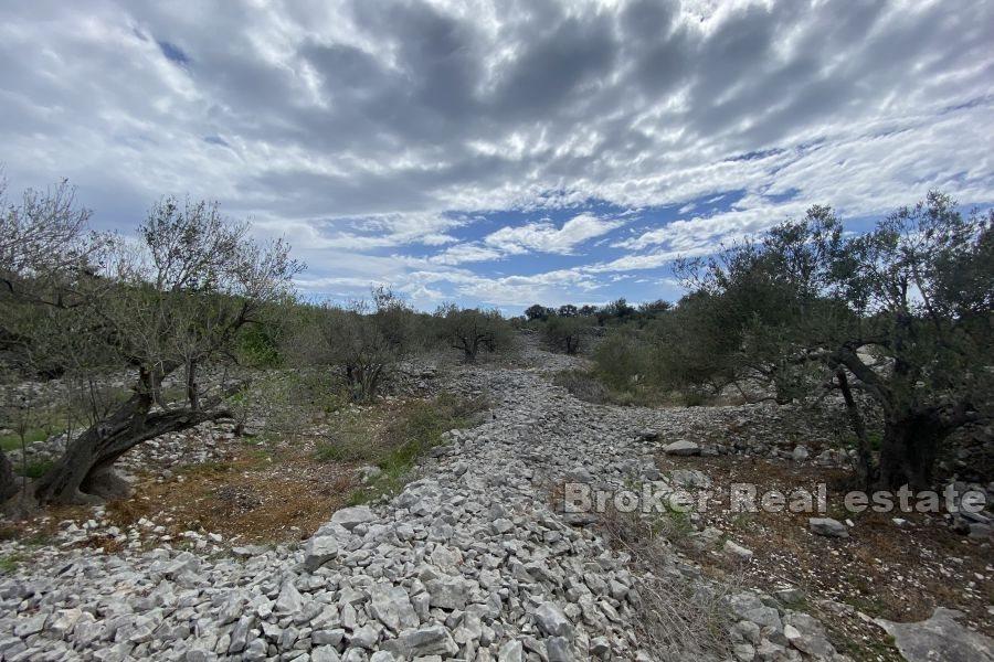 Grundstück mit Meerblick