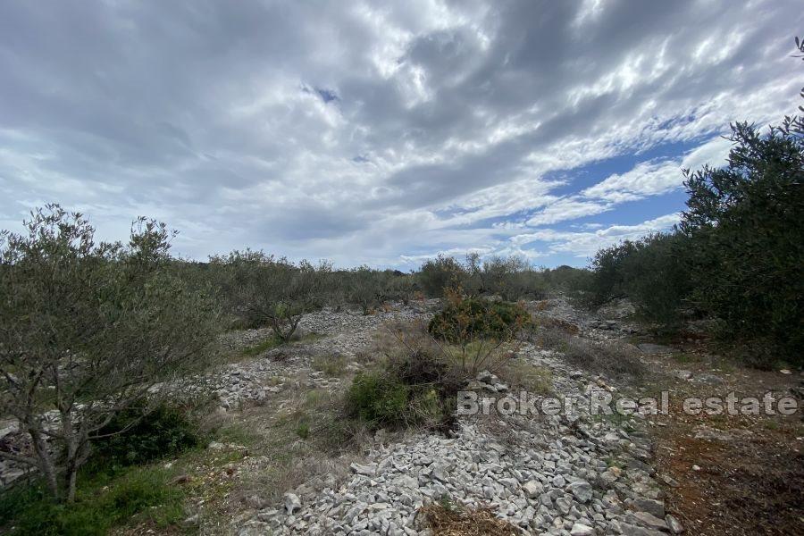 Grundstück mit Meerblick