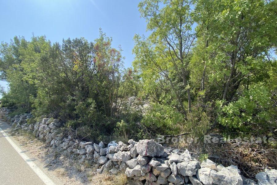 Building land near the sea