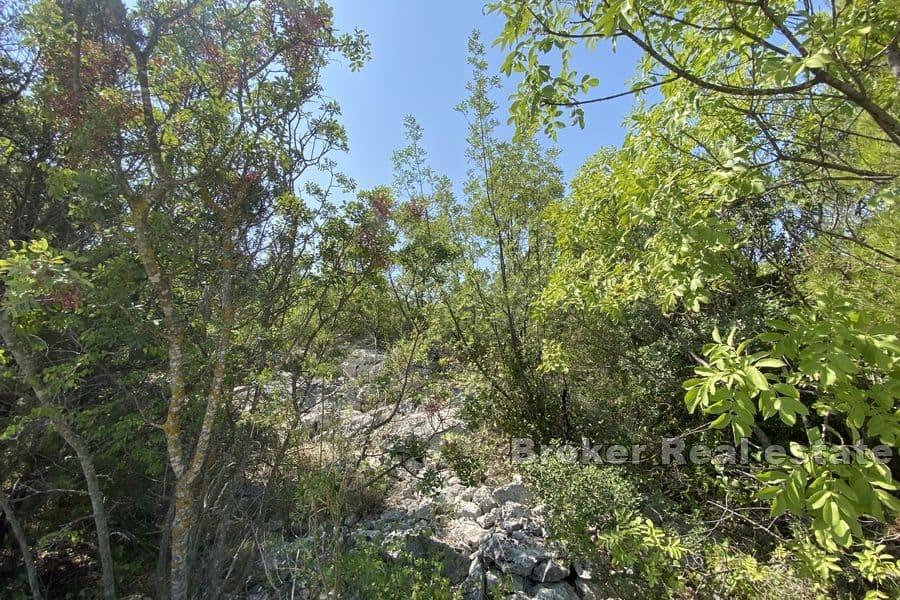 Byggeland nær sjøen