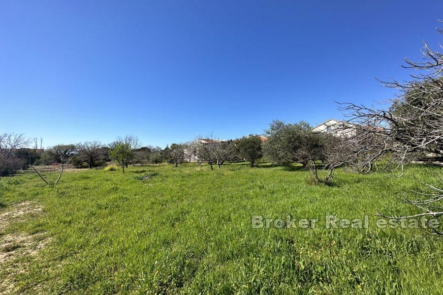 Romslig tomt med enetasjes hus
