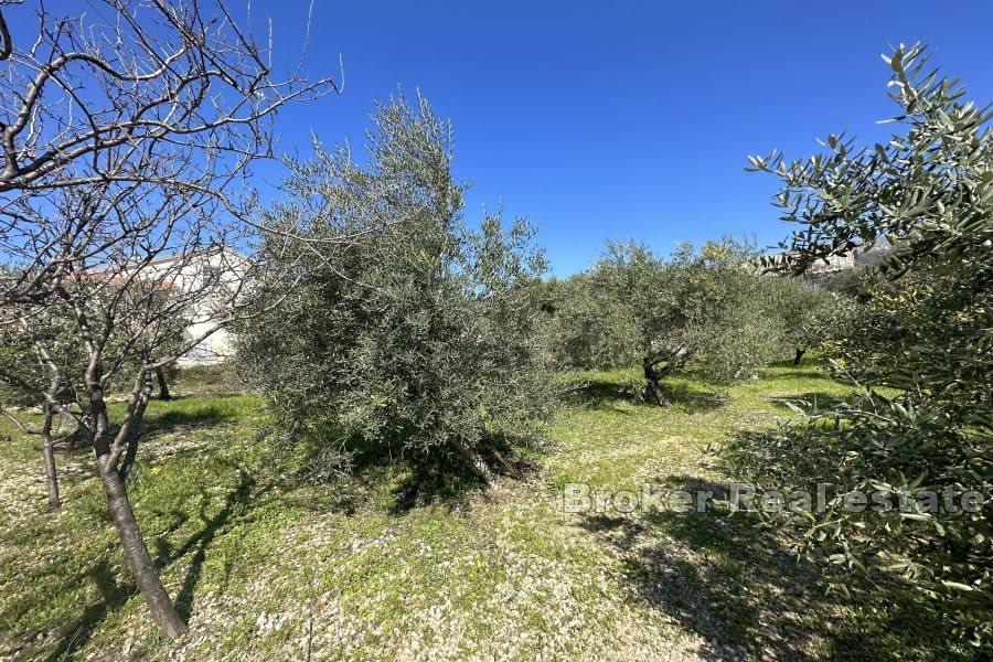 Romslig tomt med enetasjes hus