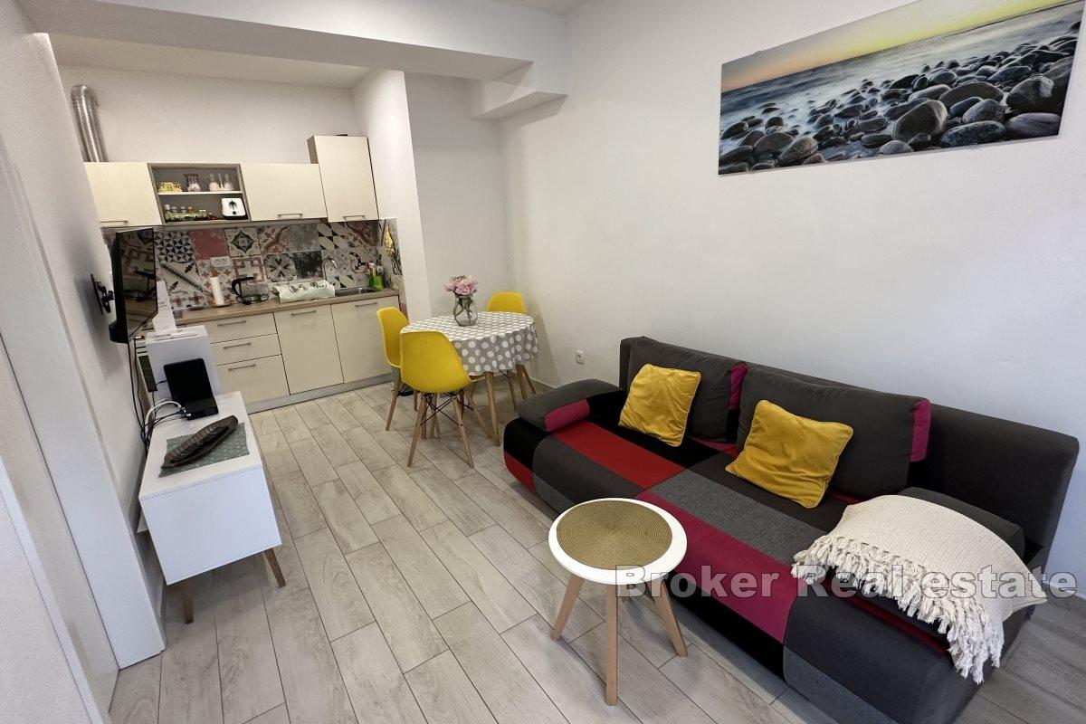 One bedroom apartment in the city center