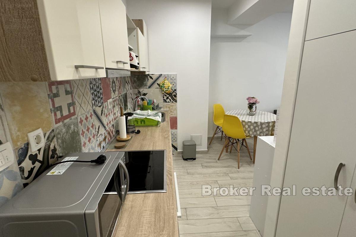One bedroom apartment in the city center