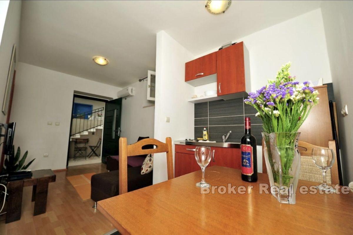 Deux appartements avec un commerce bien établi