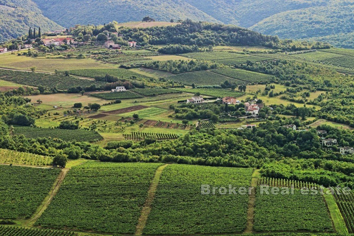 Buzet - Building land in a quiet area