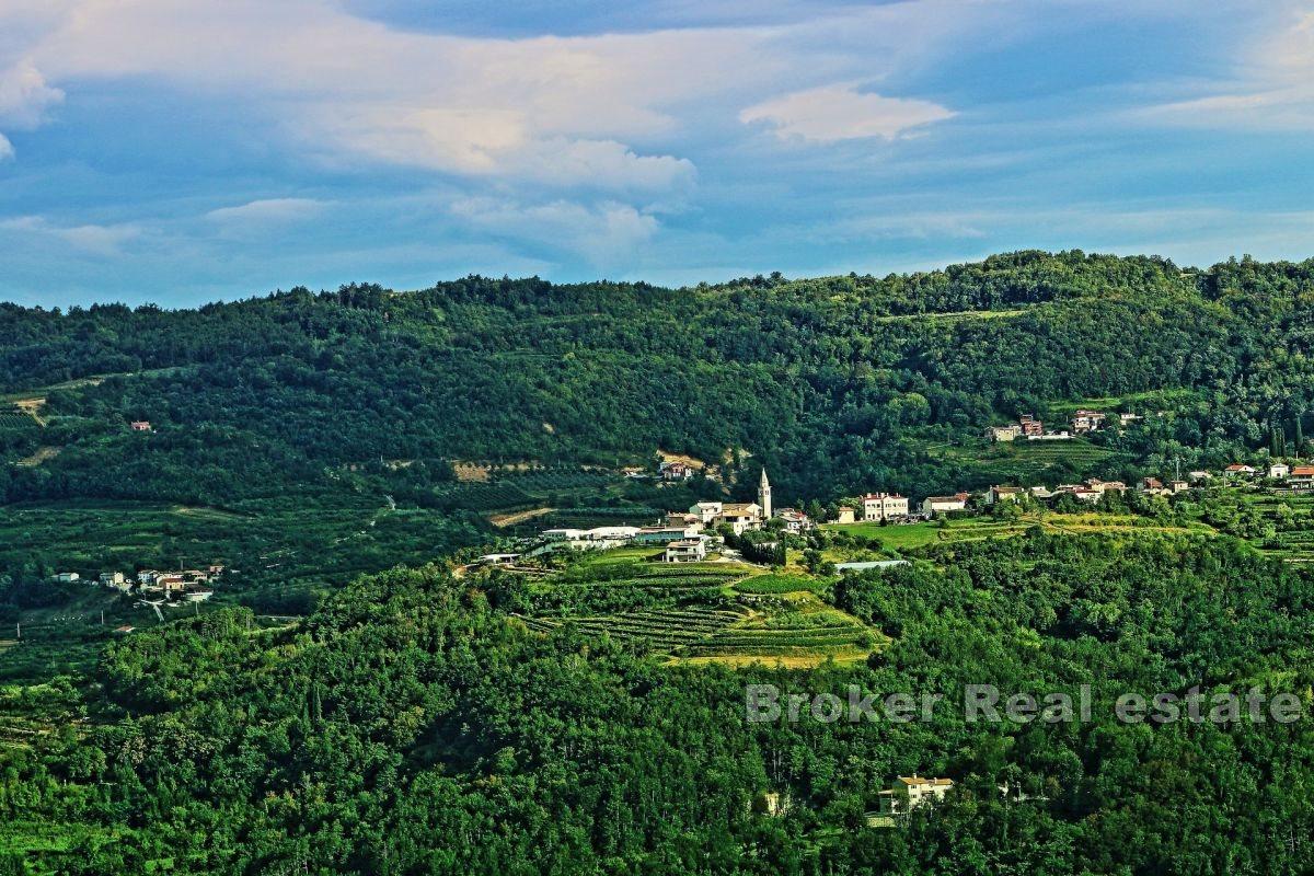Buzet - Baugrundstück in einer ruhigen Gegend