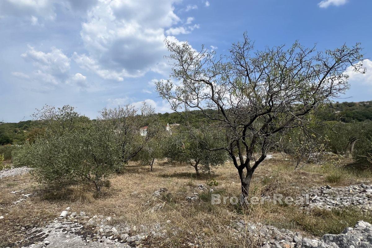 001-2046-23-Omis-Spacious-building-plot-for-sale