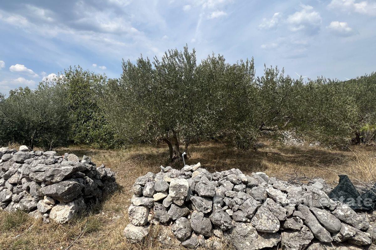 Spacious building plot in a quiet part of town with the possibility of installment payments