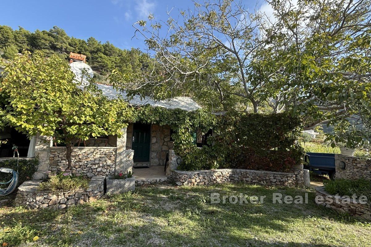 Unique agricultural land with a building and a beautiful view of the sea