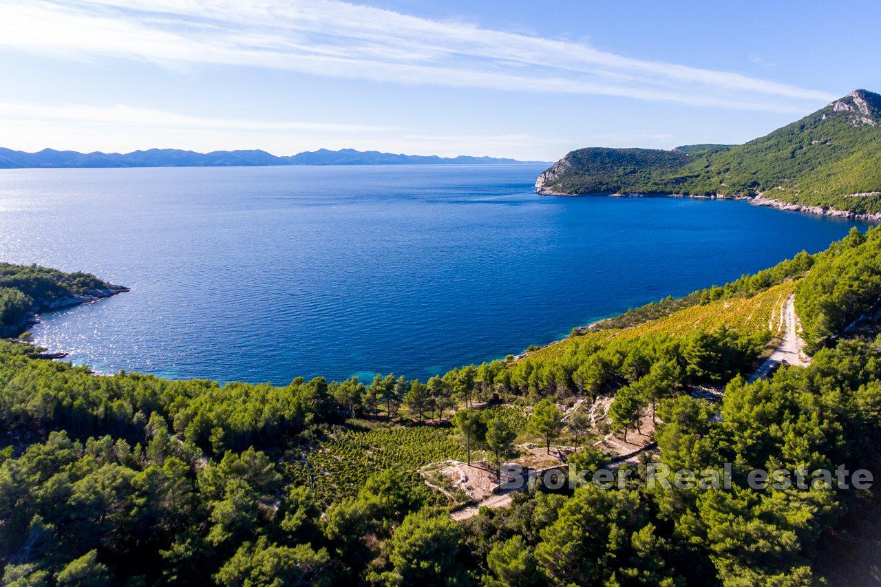 Domaine privé en bord de mer sur la presqu'île de Pelješac