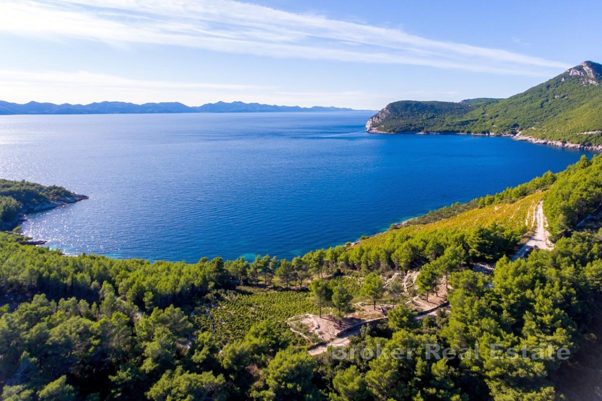 Domaine privé en bord de mer sur la presqu'île de Pelješac
