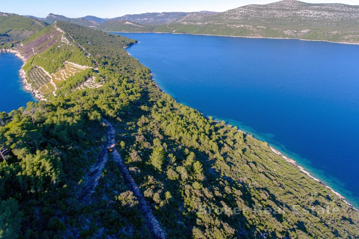 Domaine privé en bord de mer sur la presqu'île de Pelješac