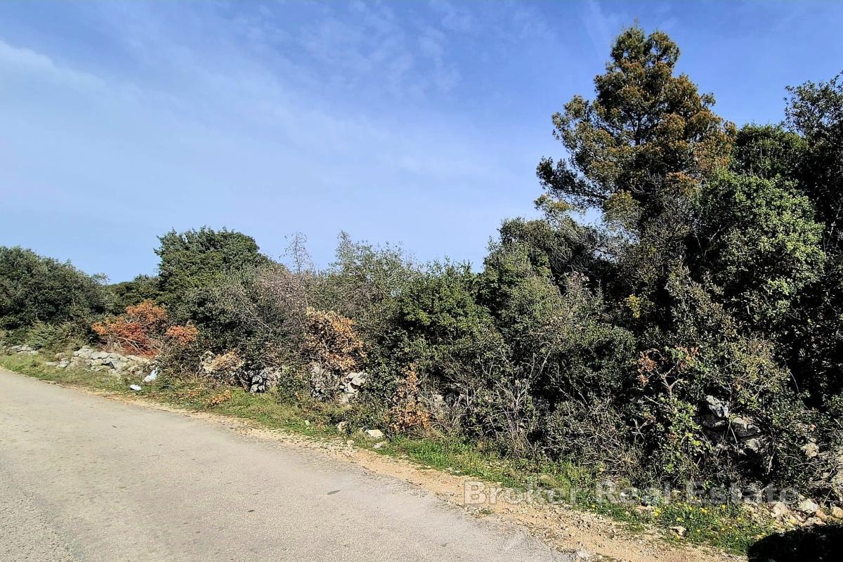 Terrain constructible avec vue sur la mer et la nature