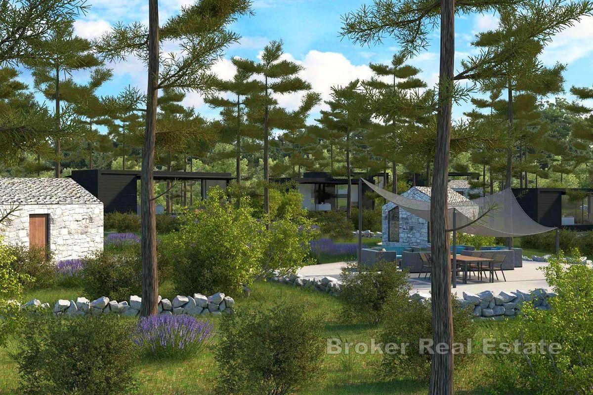 Terrain attrayant proche de la mer