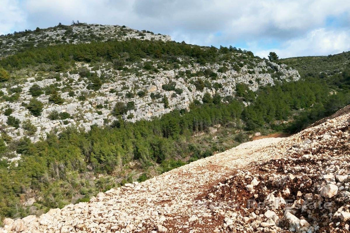 Terrain attrayant proche de la mer