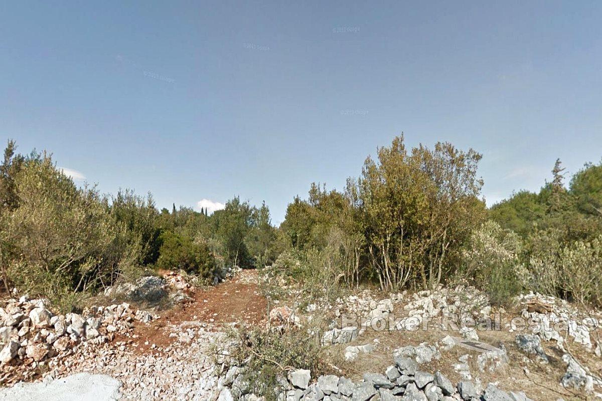 Attractive land with a project near the sea
