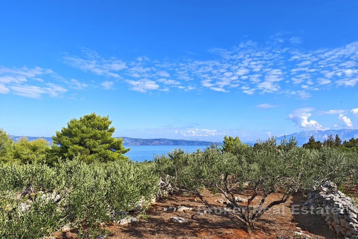 Terreno agricolo con edificio in pietra - prima fila al mare