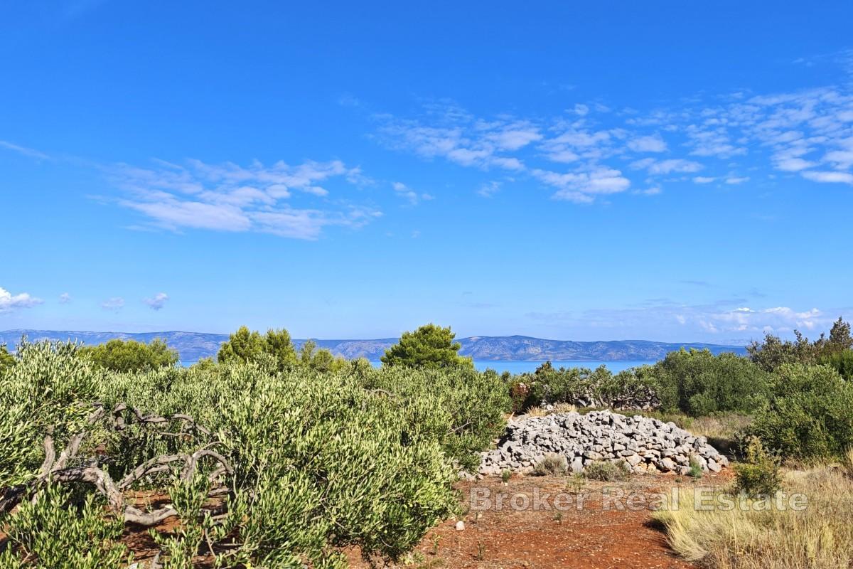 Terreno agricolo con edificio in pietra - prima fila al mare