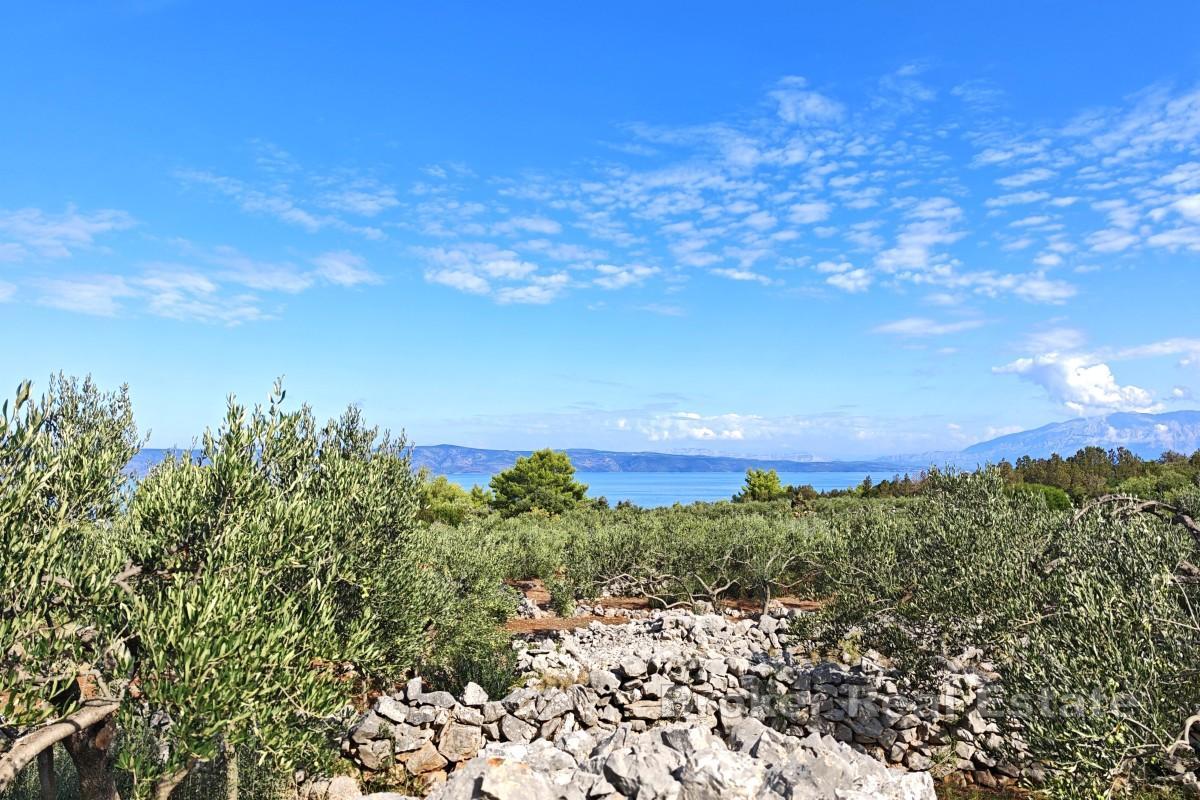 Terreno agricolo con edificio in pietra - prima fila al mare