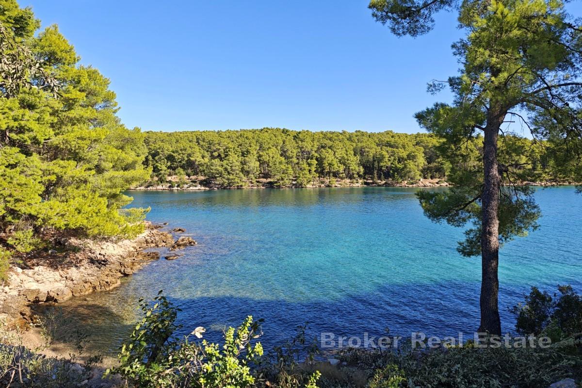 Nybygg - toroms leilighet med terrasse, nær sjøen