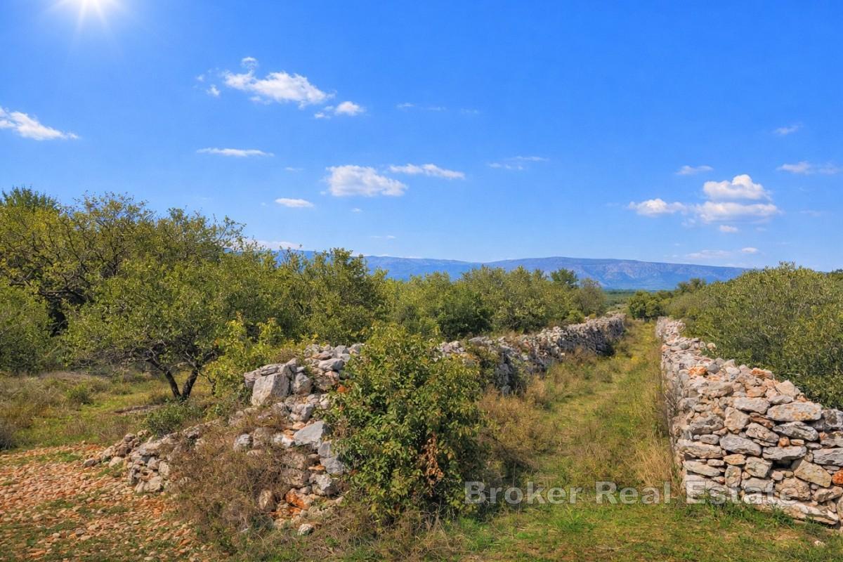 Terreno agricolo in zona UNESCO
