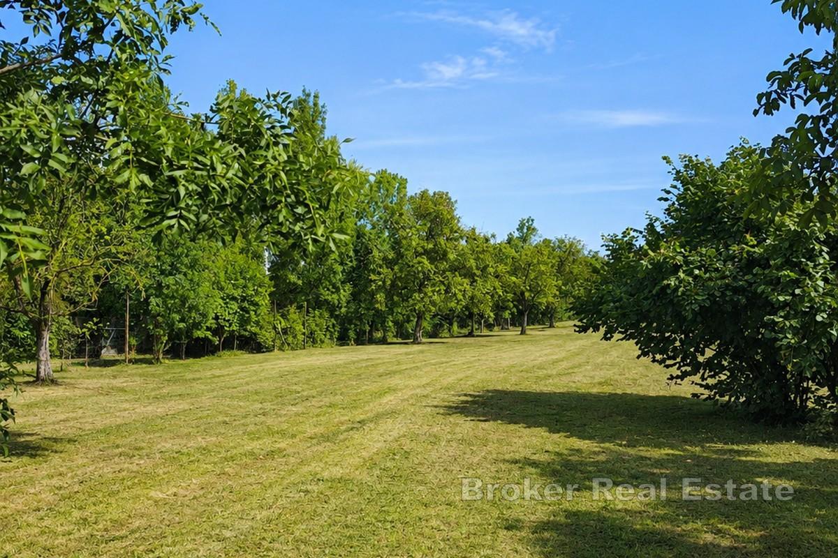 Terrain constructible