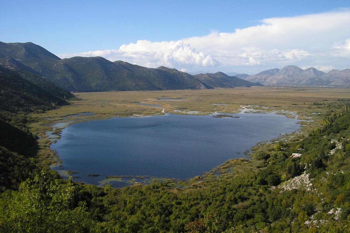 001-2052-101-Metkovic-House-with-great-potential-for-sale