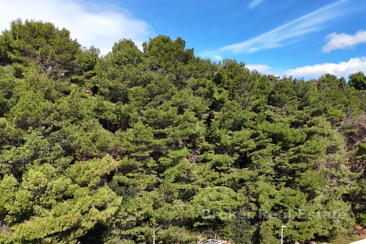 Terrain constructible en bord de mer, zone T1