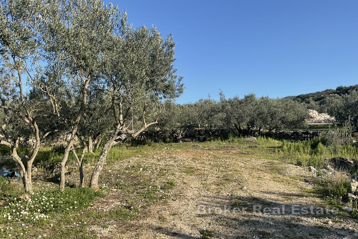 Земля под застройку с видом на море