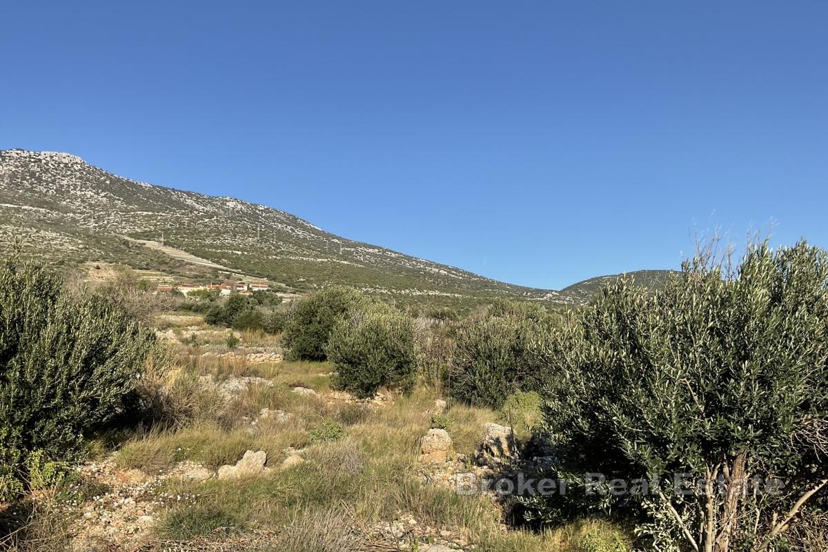 Stara kamena kuća sa zemljištem do mora