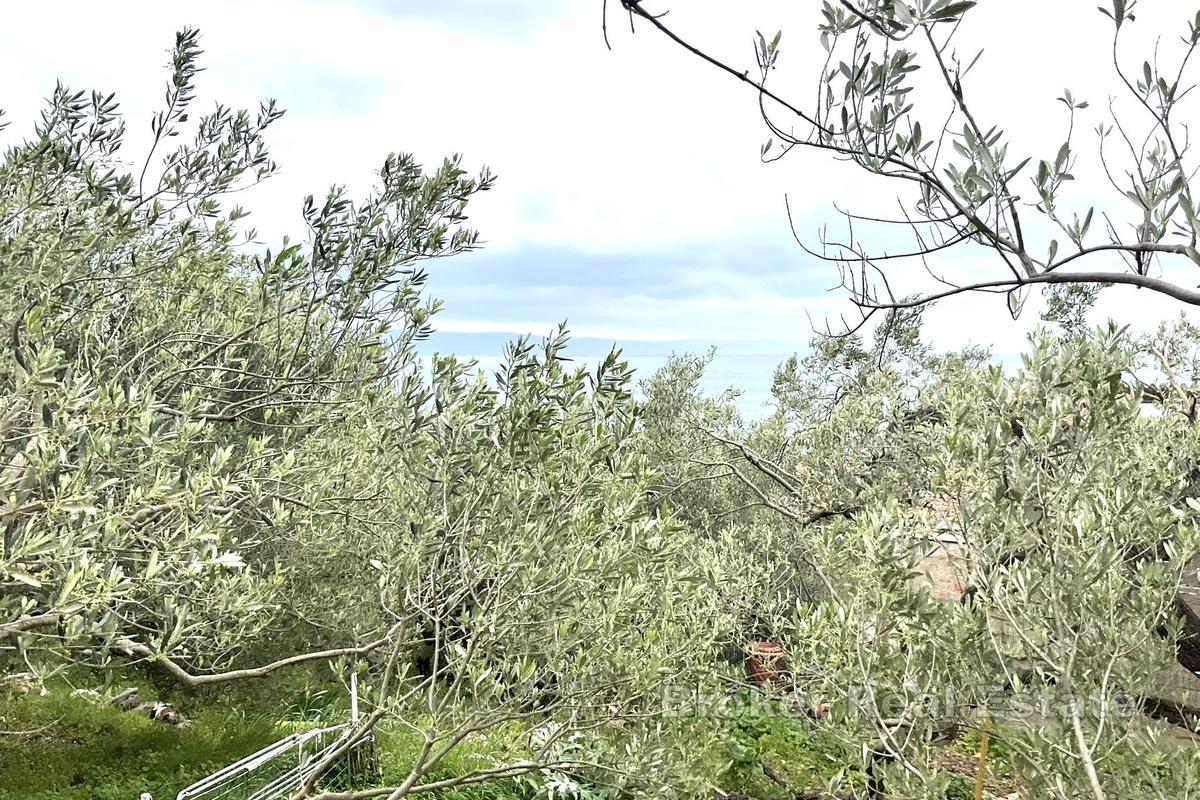 Byggeland med panoramautsikt over havet