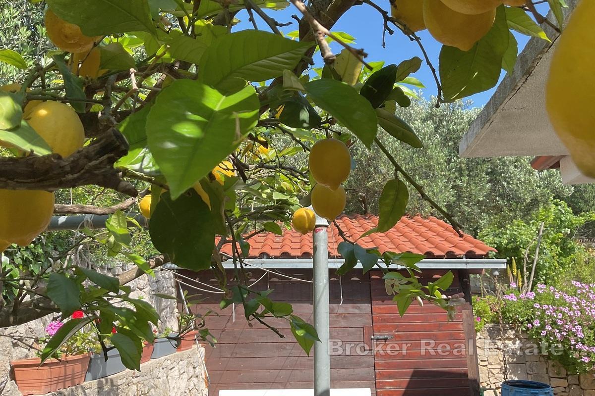 Výjimečná vila v první řadě u moře s opravdovou restaurací a vinárnou