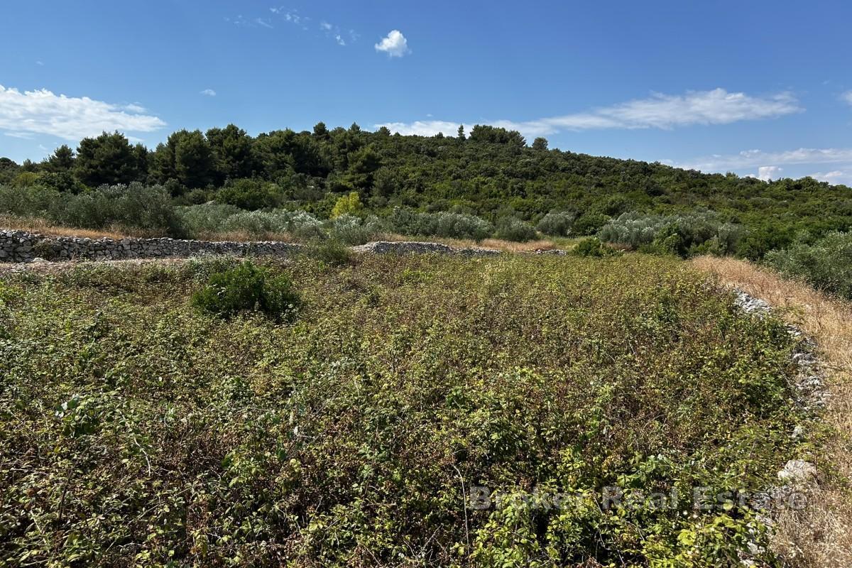Terreno edificabile con vista mare