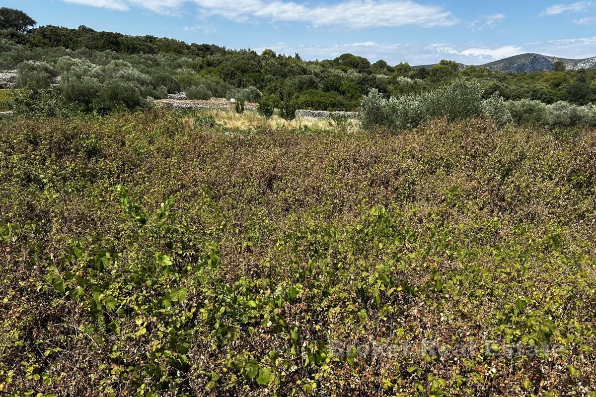Građevinsko zemljište s pogledom na more